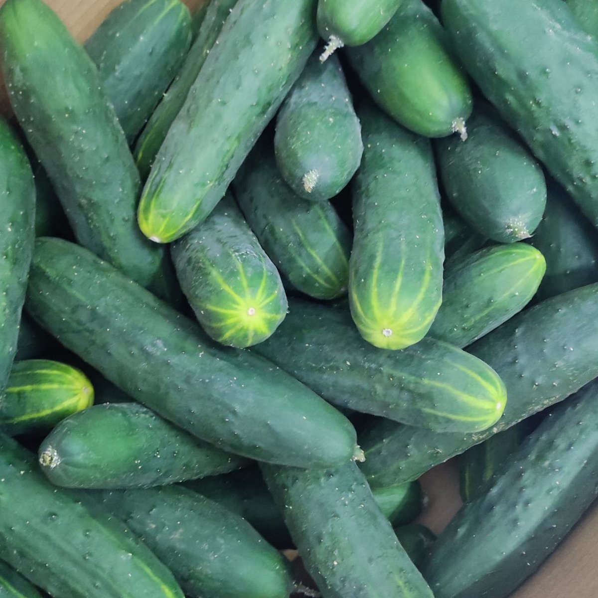 asociacionnaim's tweet photo. Reparto de frutas y hortalizas del #FEAGA distribuidos a través de #ASAEC.El personal técnico adscrito pertenece al proyecto de la @redcomedores en la que #NAIM es entidad ejecutante, subvencionado con cargo a la asignación tributaria del 0,7% del #IRPF por la @IgualdadAND https://t.co/vmo0rG0lLu
