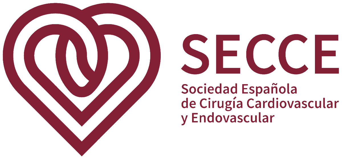 SECTCV's tweet photo. ¡Llega el número 6 de la Revista Cirugía Cardiovascular!

https://t.co/WZGve5QxIJ https://t.co/8xaKNJ2xtj