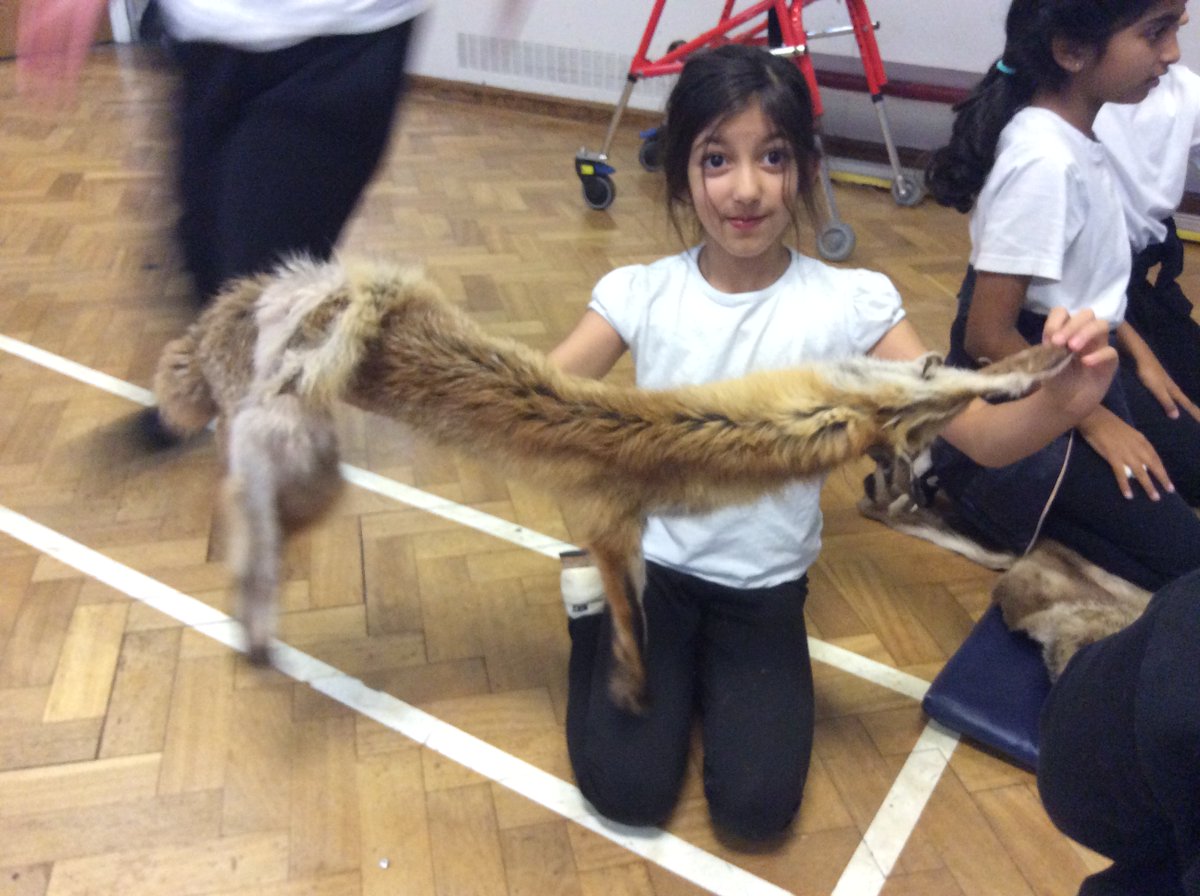 gfprimarycov's tweet photo. Year 3 had an amazing day yesterday because some special visitors from the Stone Age came into school to see us. They learnt all about life in the Stone Age, made a slate tool and a fat burner. #GFhistory #GFYear3 https://t.co/6LZLC5XFQ3