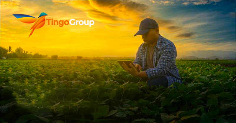 TheTingoGroup tweet media