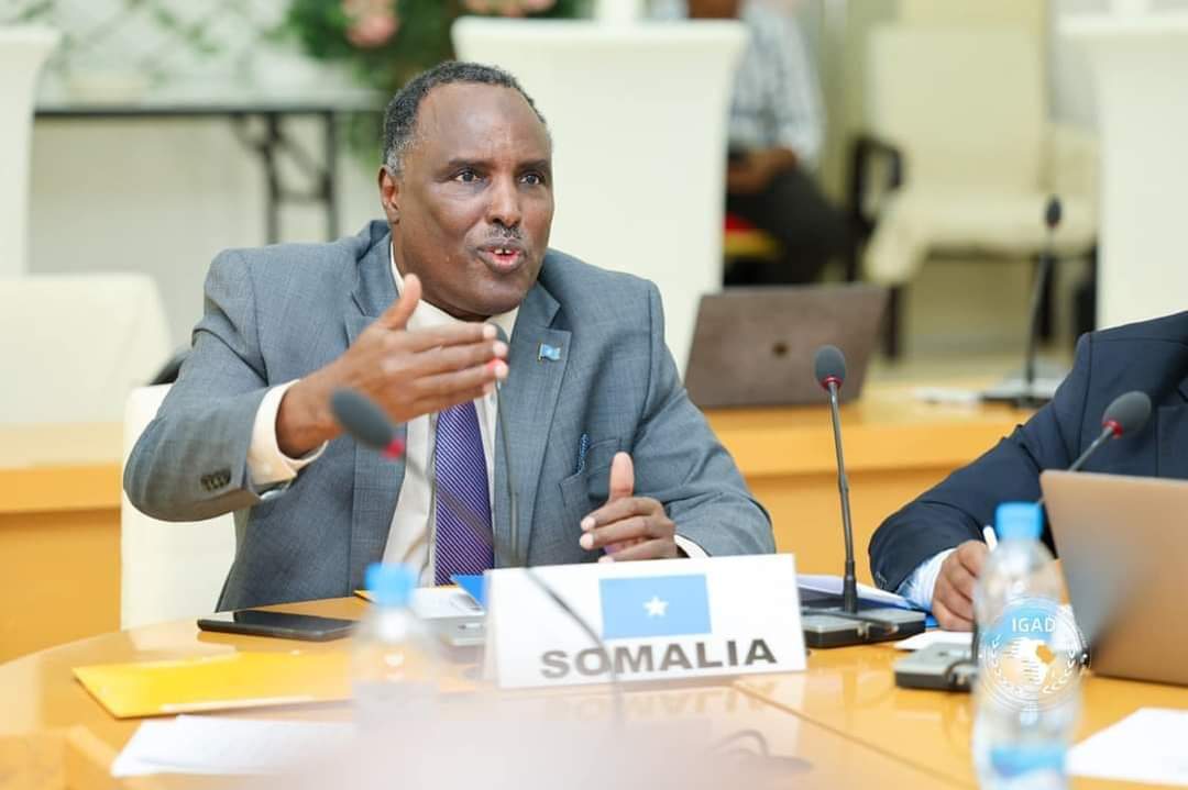 Waa ku mahadsanyihiin in ay soo nooleeyeen rajadi dowladnimada Somalia 🇸🇴 oo ay argaggixisa iyo h.kooxeedyo u afduubneed Si cadowga aad uga adkaato cadowgaaga cadowgiis xitaa waa isticmaaleysa, laakin ciyaal caadifad ma gaarin fahamas.
Taarikhda ayaa og xusi doonta