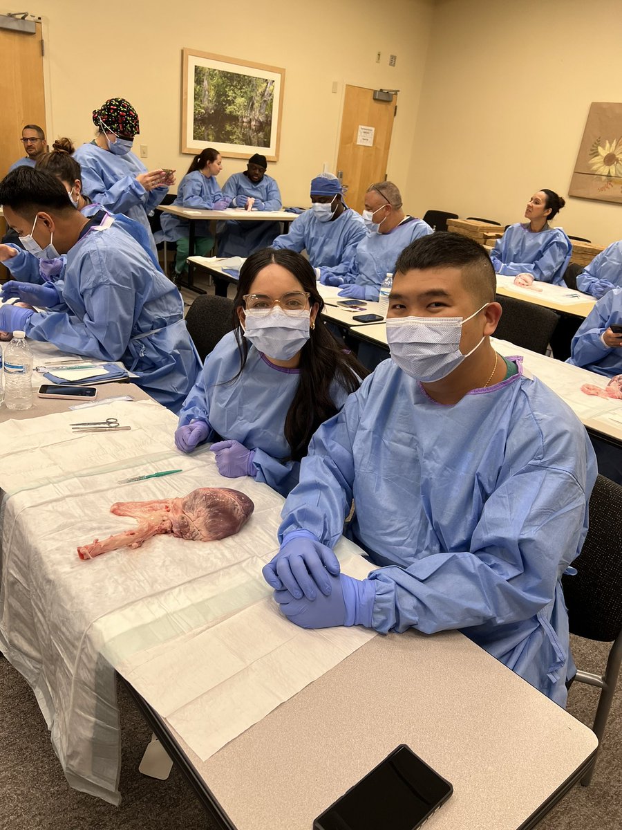 EP Orlando tweet media