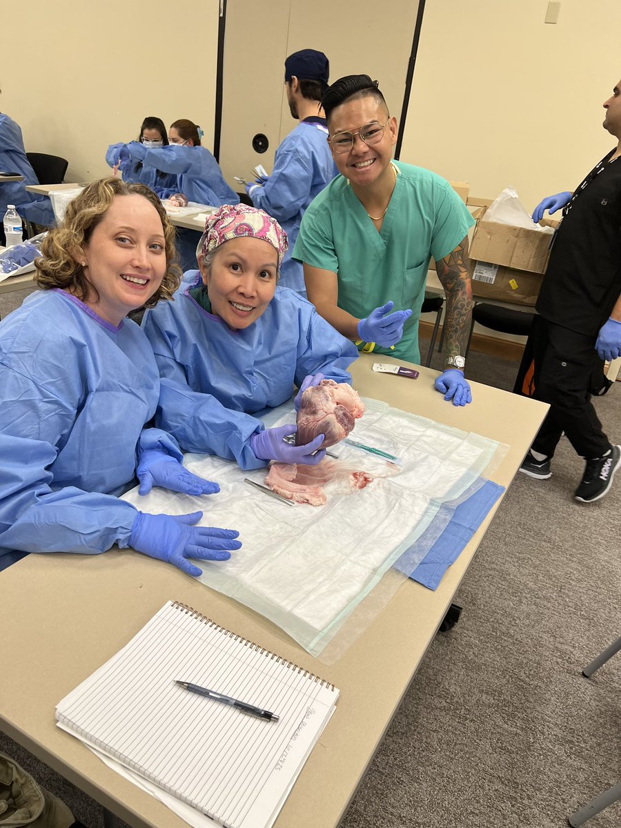 EP Orlando tweet media