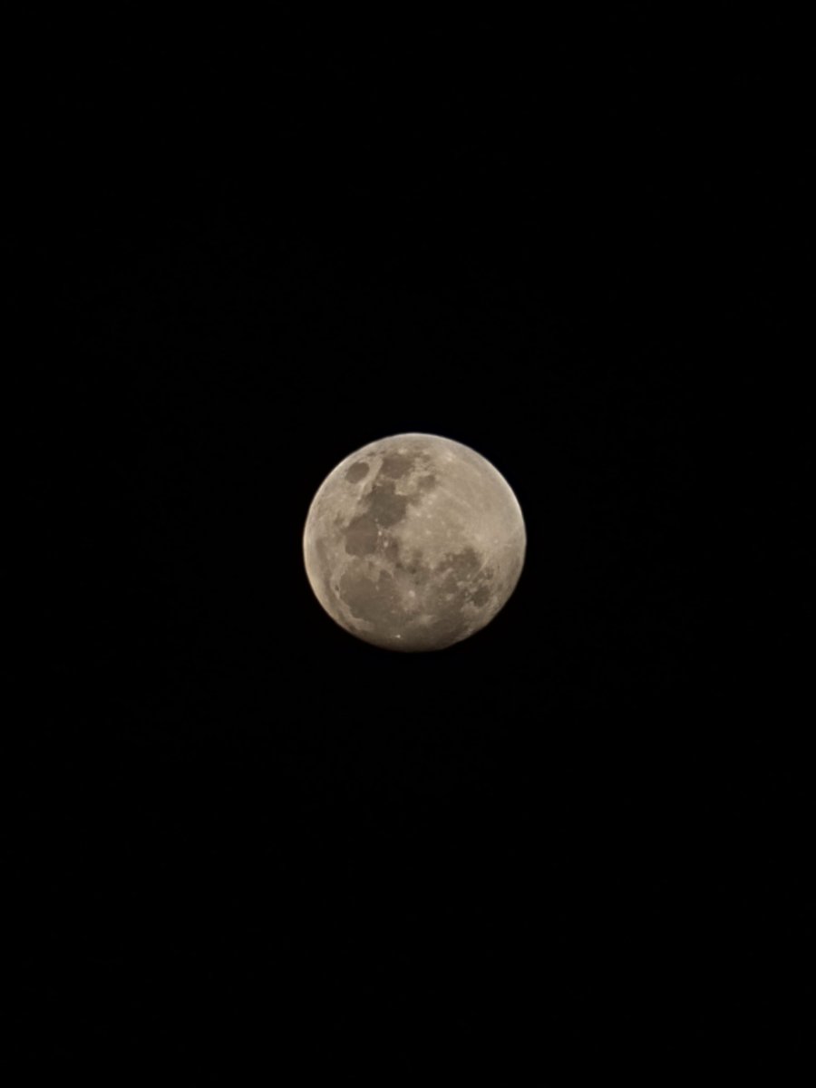 JamforMoney's tweet photo. Posting a picture of the moon every night night #31

🌚 The Moon always shows Earth the same face 🌝

#moon  #moonpics #moontonight #moonlight #love #night #photography #nature #luna #sky #art #stars #fullmoon #space #sky #photo #instagood #nightsky  #astronomy #moonhour https://t.co/UJNJ1rUq30
