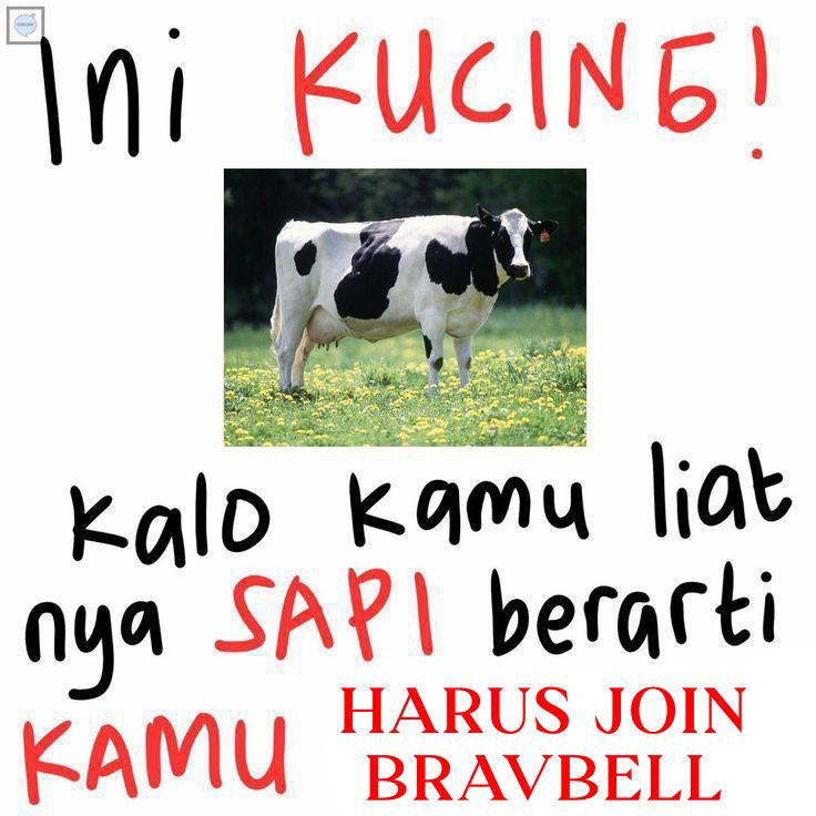 BRAVBELL udah open member nih, buruan join!