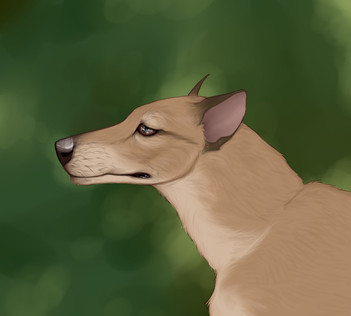 paw_us's tweet photo. How long can u fast thylacine? doesn't matter. I did more.

#art #digitalart #thylacine #fanart #gift #aussie #comissionsopen #furryartist #digitalartist #tasmanian #tasmaniantiger #Australia #Australiananimal https://t.co/NYBFGLgavf