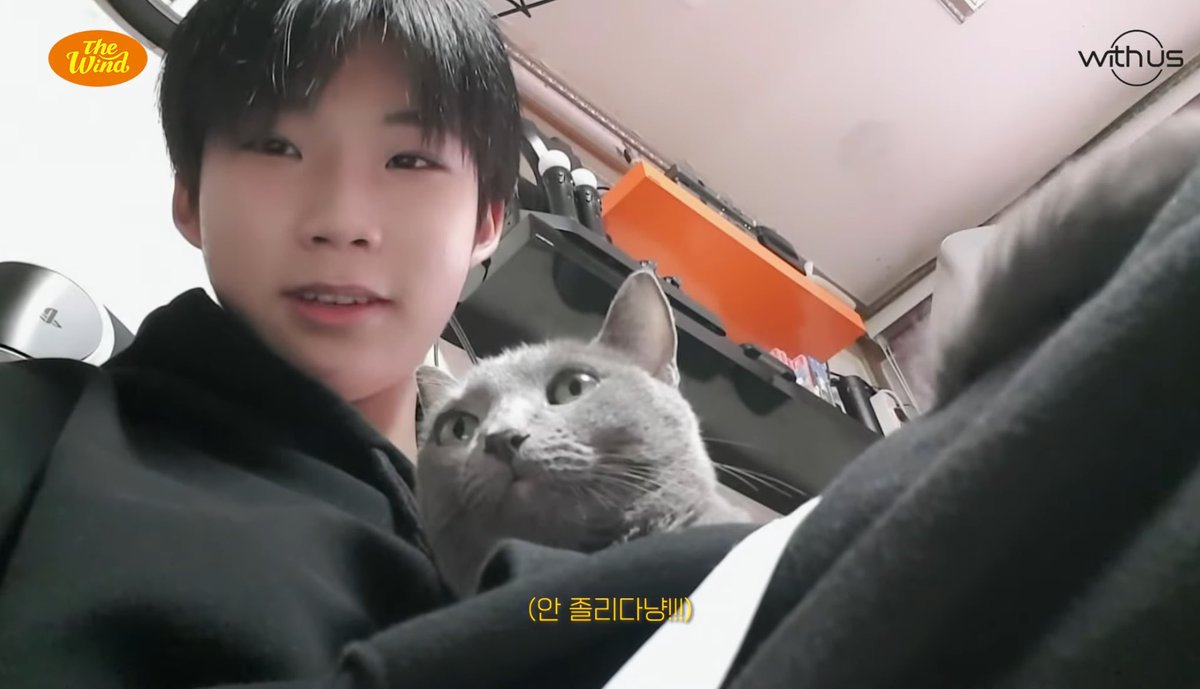 밑에서 봐도 예쁜 핑랑 박하😍😍