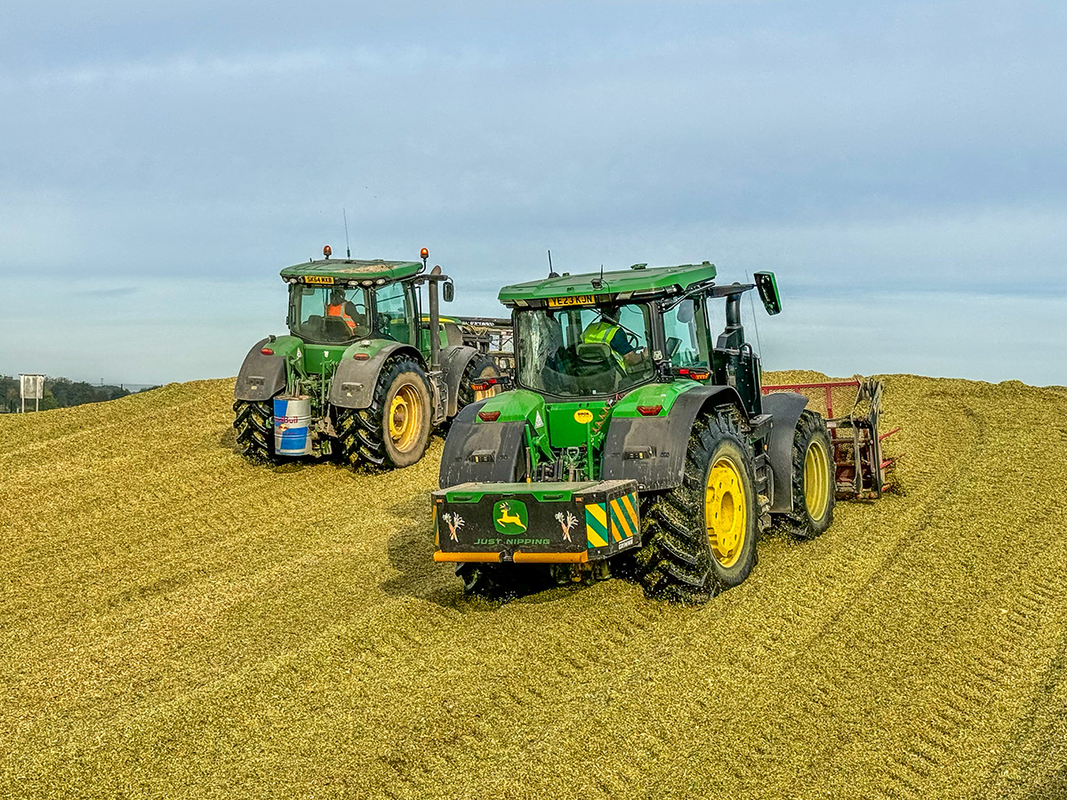 The clamping lads have done a tidy job on the clamps before the rain came. The clamp will then be sheeted and the ensiling process kicks off, this feed will be ready to feed in a few months into the digestors.

#Rockscape #Feedstock