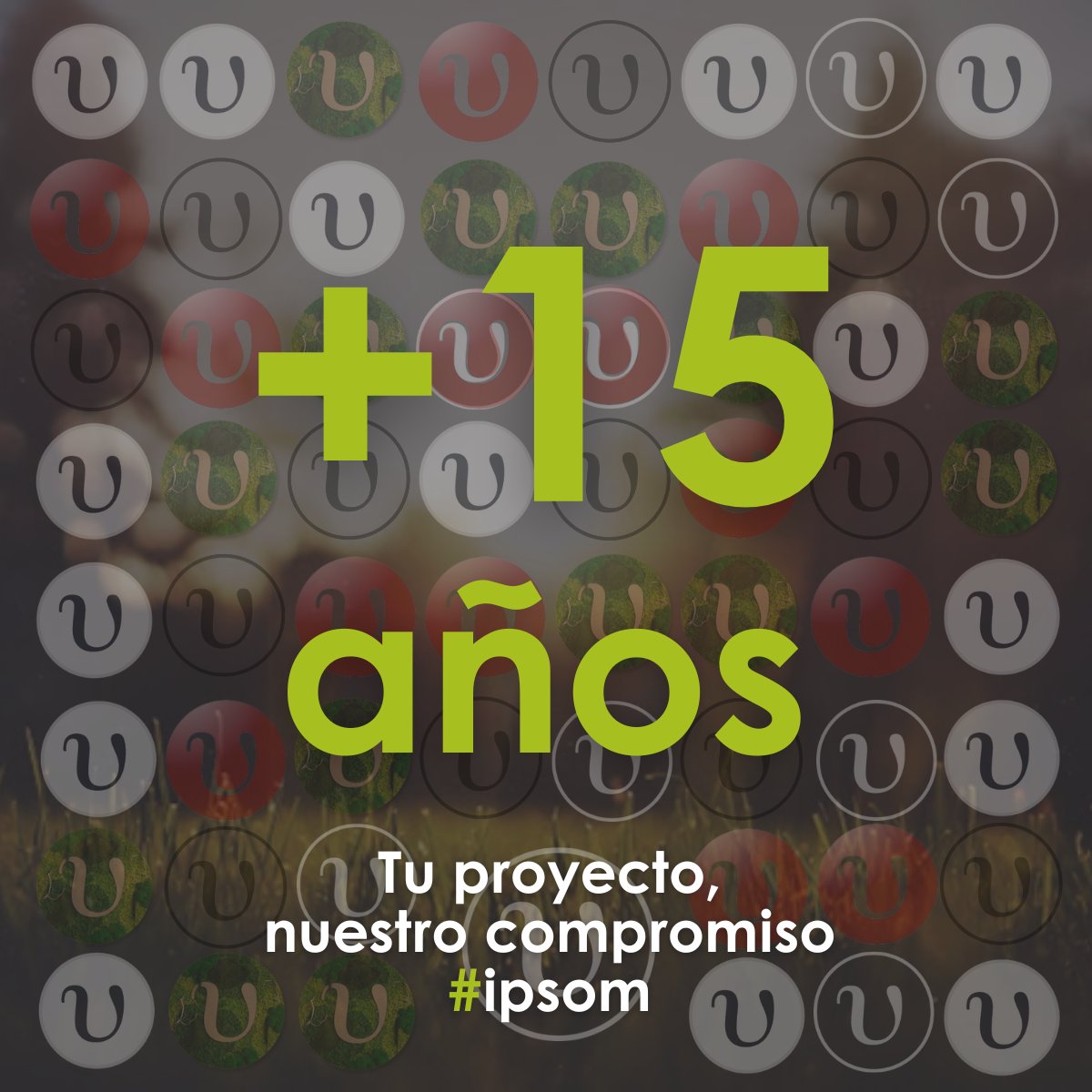 ipsom_es's tweet photo. Esta semana Ipsom cumple 1️⃣5️⃣ años de trayectoria y éxitos al lado de nuestros clientes. 🥂 🎉

#ipsom #aniversario #27octubre https://t.co/LcGHKJohya