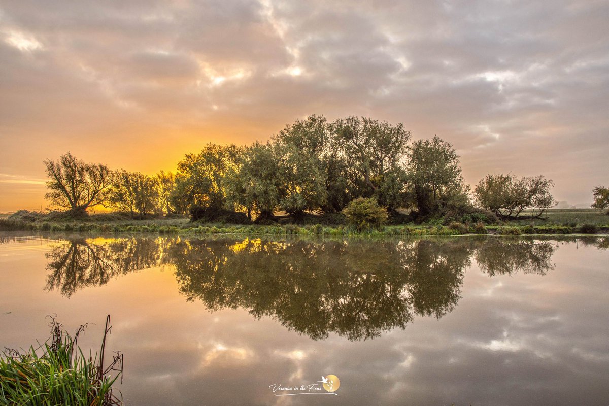 VeronicaJoPo's tweet photo. Sunrise Golden Hour 🧡💛🧡
“Don't just lose yourself behind the camera. Lose yourself in the moment of the golden hour. ~ Unknown”
Ely Cambridgeshire
I love my walks, this week especially for #BreastCancerAwareness 🩷
#GoldenHour #Sunrise
#MagTeam #MagTeamChallenge https://t.co/kd5mgtzOyf