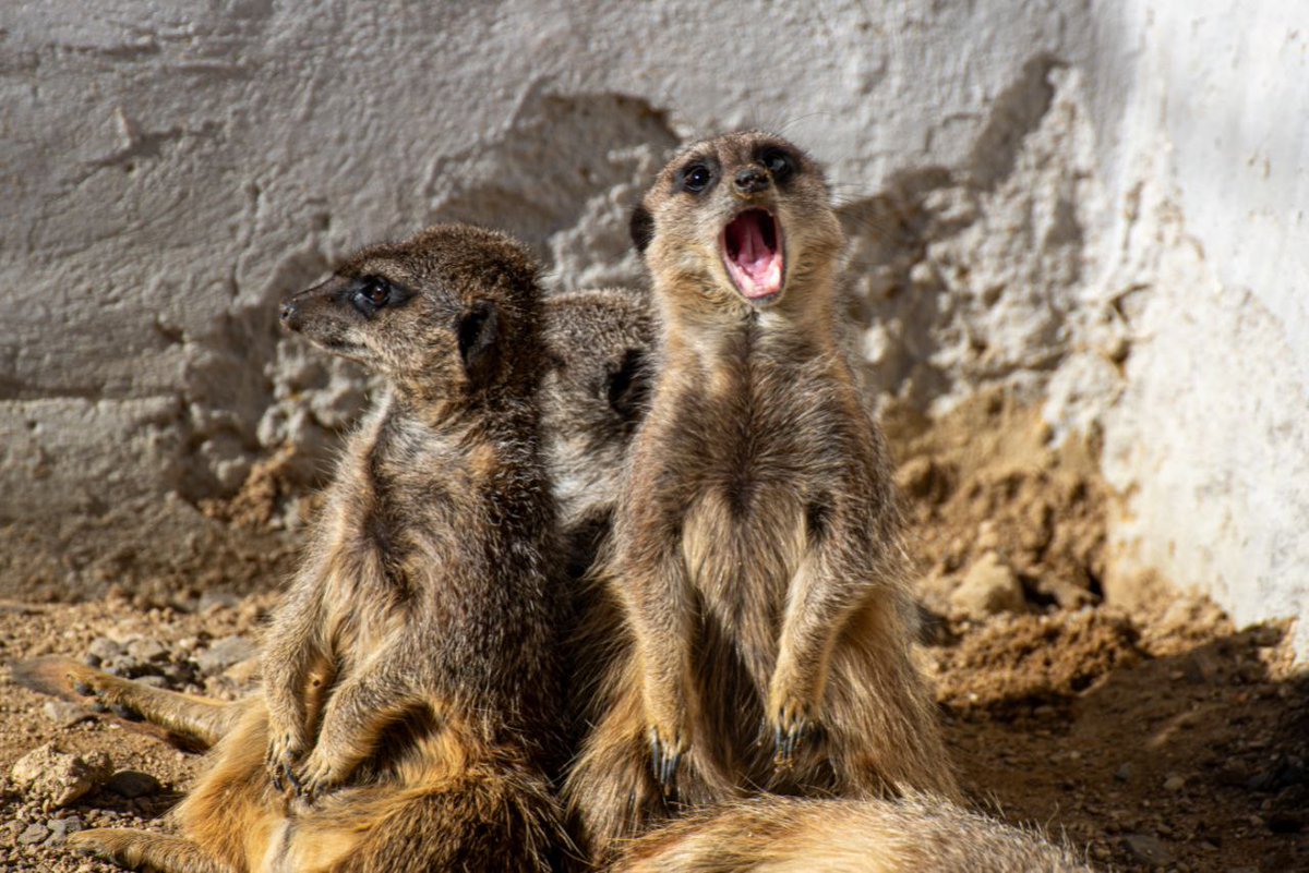 Livinteresting tweet media