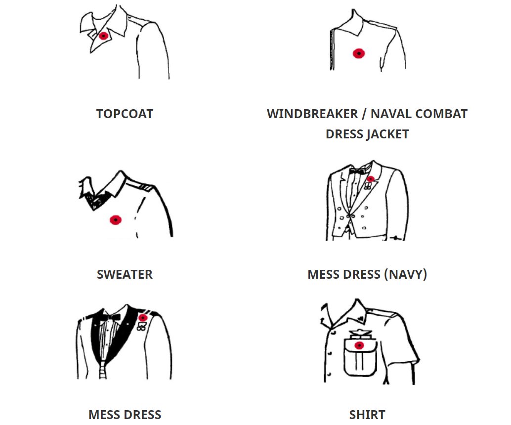 army_SM_armee's tweet photo. The poppy is an international symbol of remembrance to commemorate those who sacrificed so much. It's worn starting today until Remembrance Day. Here are the proper positions for poppies while in uniform. https://t.co/1KR53vD8Dv