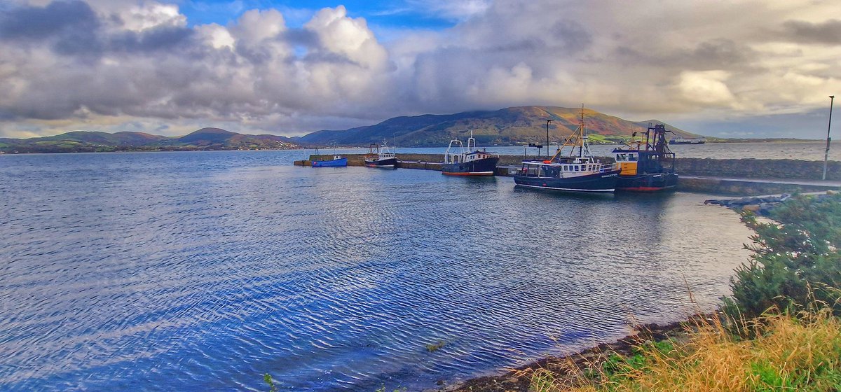 JamesCarlislef1's tweet photo. Carlingford and Greer's Quay this morning @bbcniweather @angie_weather @WeatherCee @barrabest @geoff_maskell @linzilima @lindahughesmet @Ailser99 @cherylwoods33 @MCMarieB @CarolN657 @laneyupthehill @CarlingfordIRE @helenmc46972890 https://t.co/NY0mV5D0TO