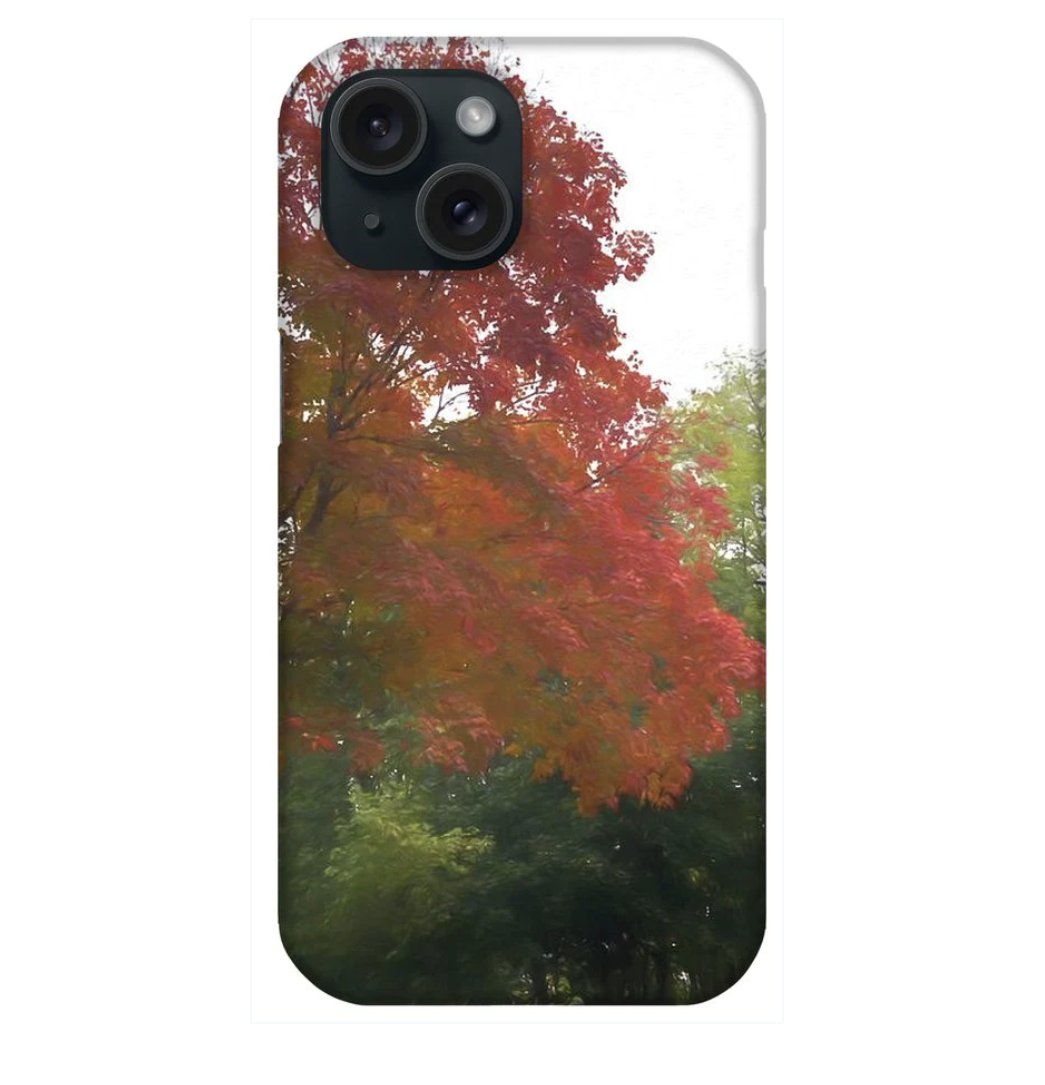 CindyPODArtBlog's tweet image. bluedaisyemporium.com/products/maple… #mapletree #october #fallcolor #phonecase