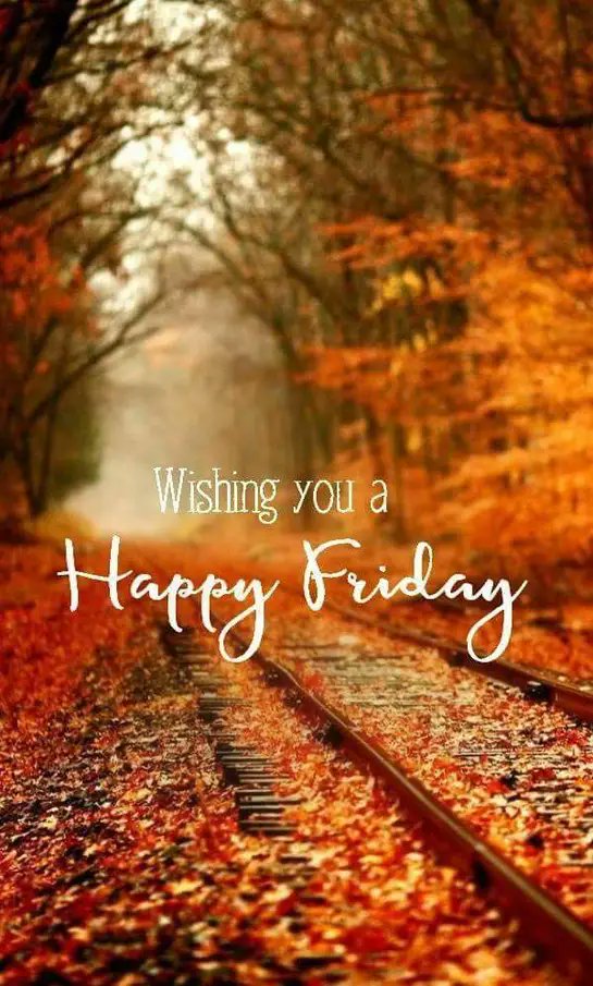 TSpicer 910ILM@ILMCAROLINA (@178tspicer) on Twitter photo 