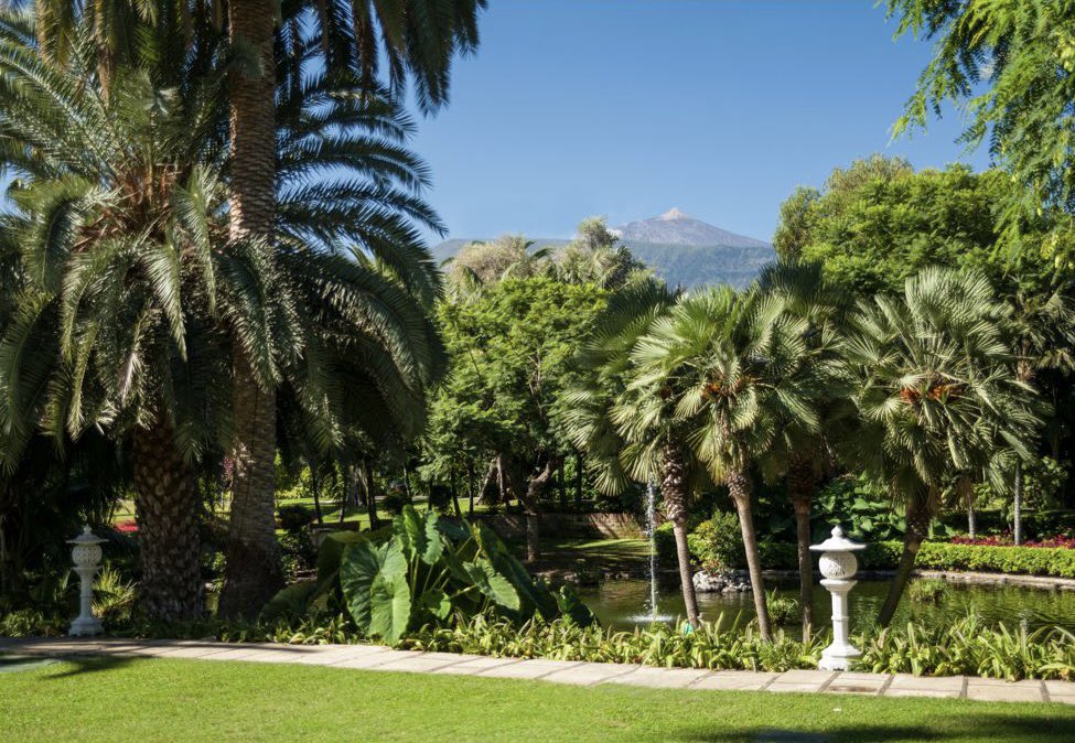 Hotel Botánico*****GL tweet media