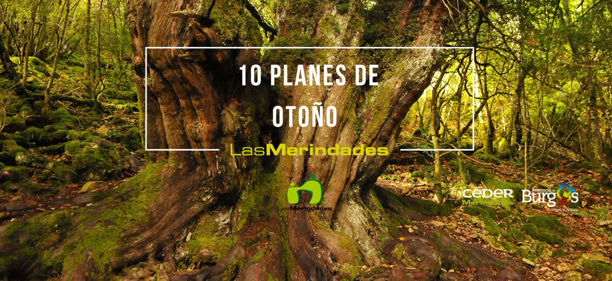 CEDERmerindades's tweet photo. Parece que el otoño ha entrado de lleno en las #Merindades y nosotros/as no podemos dejar de pensar en todos los planes que podemos disfrutar en la comarca
¿A qué esperas para descubrirlos? https://t.co/Hnt2a3pOvK
#Merindades #SensacionesporDescubrir https://t.co/fDbf8NqYr5
