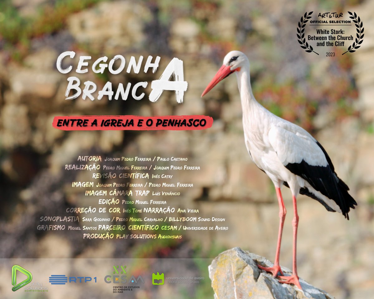 The documentary 'Cegonha Branca - Entre a Igreja e o Penhasco', produced by Play Solutions in partnership with CESAM, has been nominated for an award at the 16th ed. of the ART & TUR , which takes place today, Oct 27th, in Caldas da Rainha. Congratulations to everyone involved!