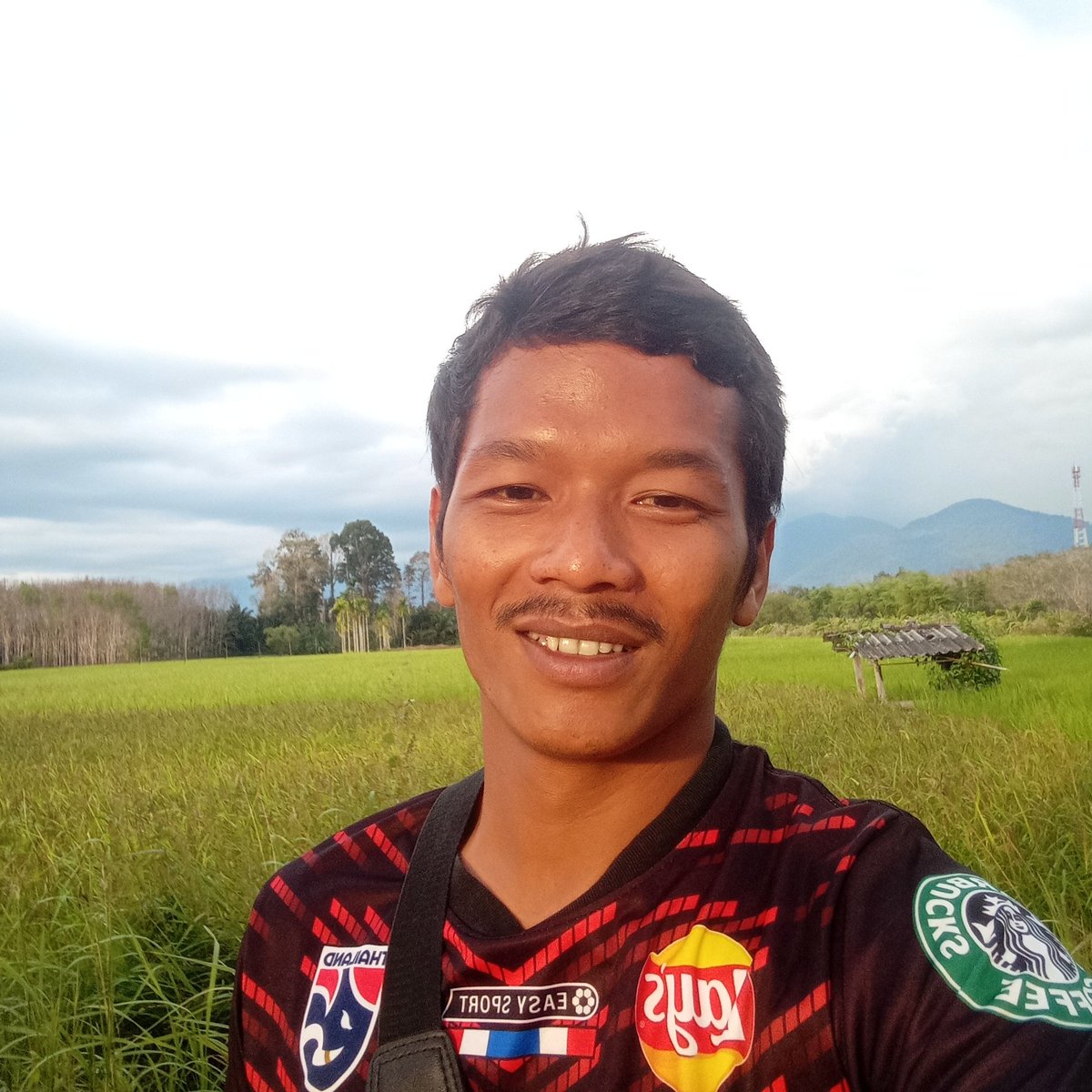 พีชเดกตรังคับ tweet media