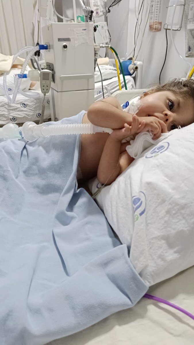 ‼️ Aslı hala yoğun bakımda ‼️
      Bir çok makineye bağlı bebekliğini çocukluğunu hastanelerde geçiren bir evlat..
      Aslı artık koşmak oynamak gülmek en önemlisi ANNE demek istiyor.. YAŞAMAK İSTİYOR🙏 Türk Bayrağı #asansör #YalıÇapkını #TürkiyeFilistininYanında