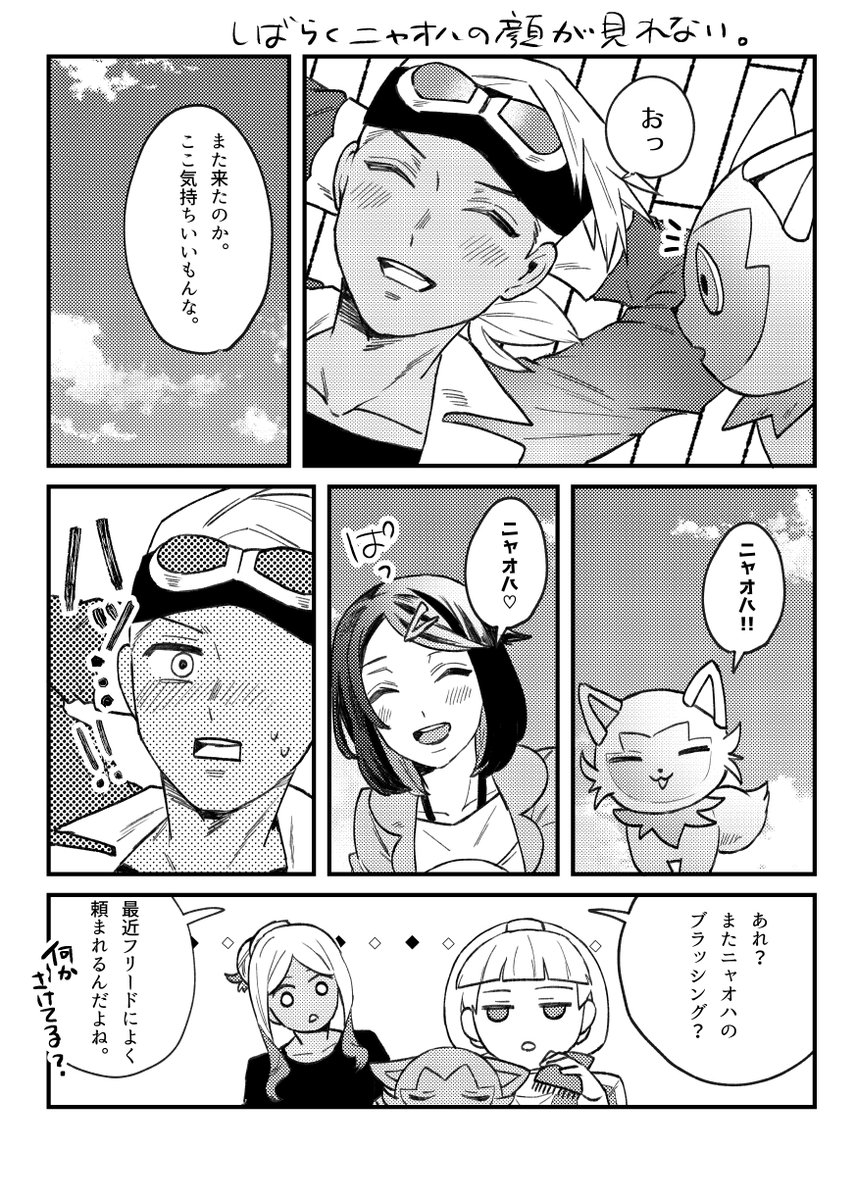 (6/6) 