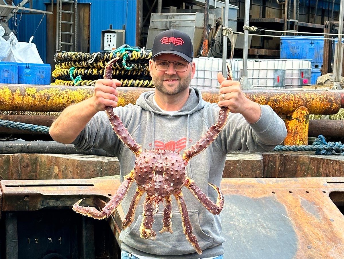 RickShelfo95374's tweet photo. 2023 KING CRAB is in the books!!! Straight up #epic these guys are some hard working mofo’s.  @deadliestcatch @discovery @wbd #deadliestcatch #aleutianlady #shelfordfisheries #kingcrab #crab #commercialfishing #commercialfisherman #alaska https://t.co/7w3oiHrWFm