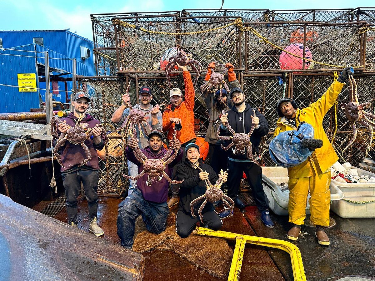 RickShelfo95374's tweet photo. 2023 KING CRAB is in the books!!! Straight up #epic these guys are some hard working mofo’s.  @deadliestcatch @discovery @wbd #deadliestcatch #aleutianlady #shelfordfisheries #kingcrab #crab #commercialfishing #commercialfisherman #alaska https://t.co/7w3oiHrWFm