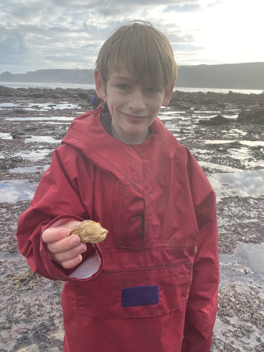 KMSMrsAspery (@kmsclass8) on Twitter photo 