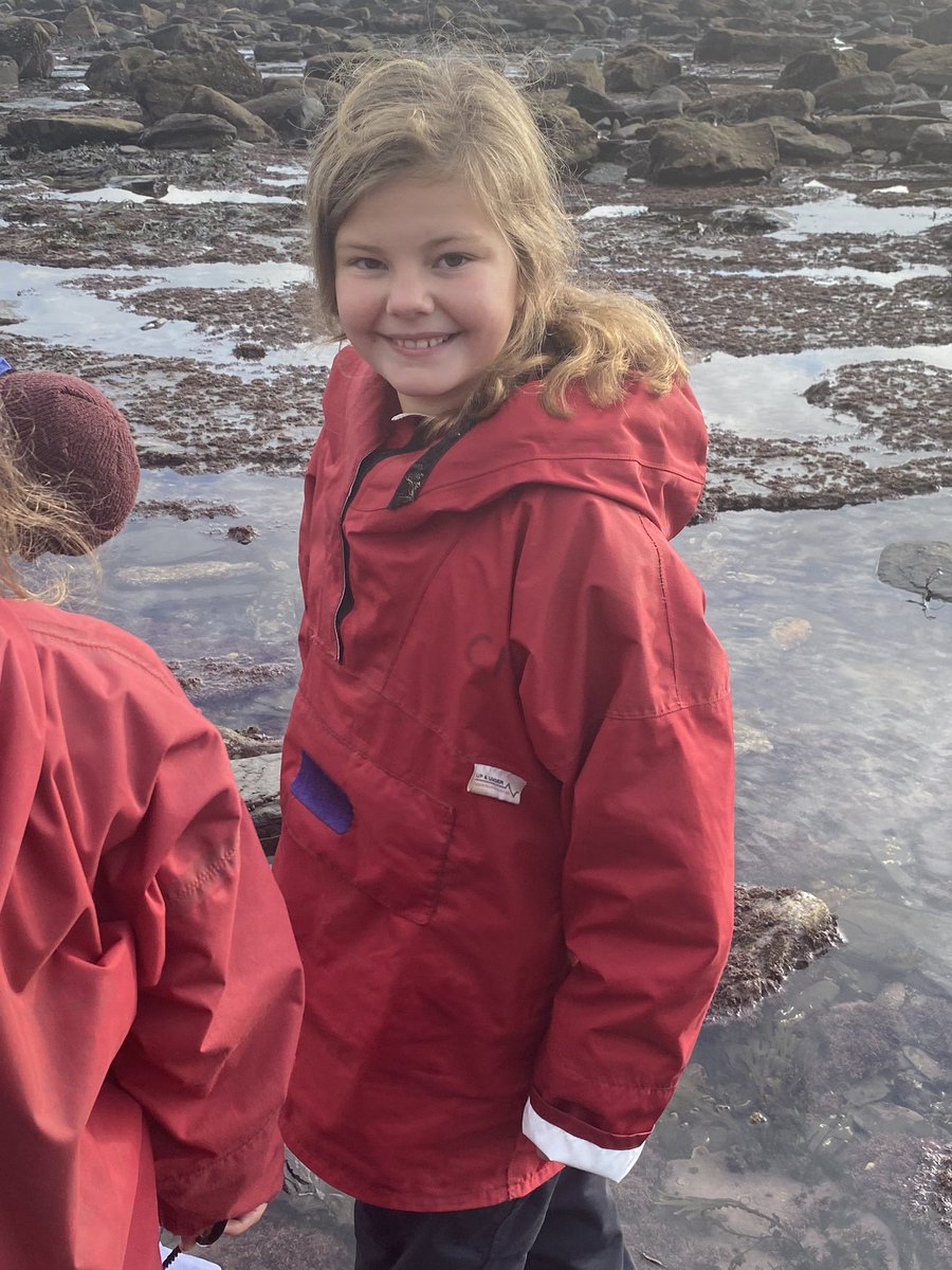 KMSMrsAspery (@kmsclass8) on Twitter photo 