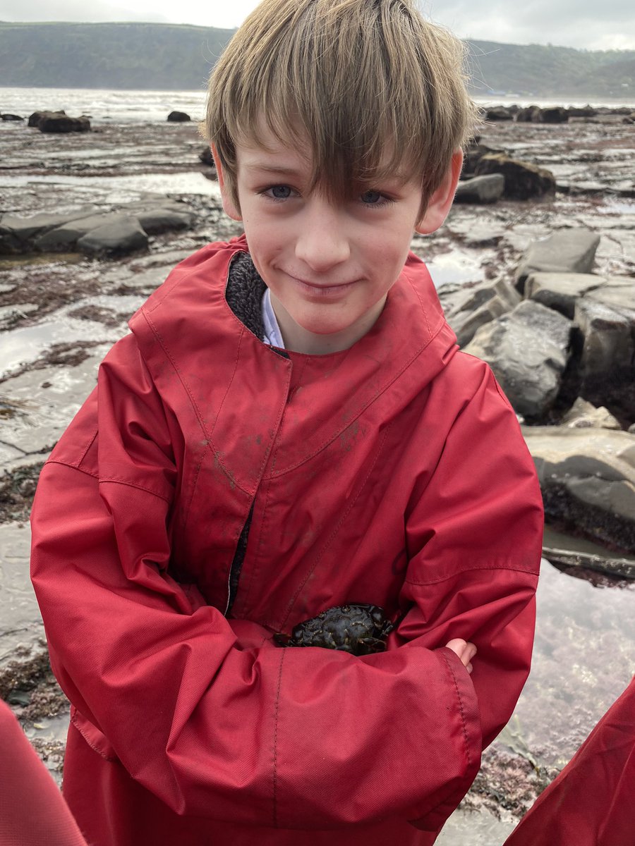 KMSMrsAspery (@kmsclass8) on Twitter photo 