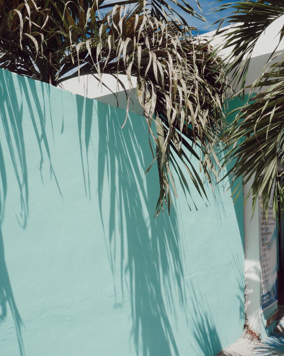 carlasifer__'s tweet photo. Perderse en los azules y pensar en Sita Holguin 🩵
#republicadominicana #trs #trsturquesahotel #blueaesthetic #azules #azul #mundoazul #babaro https://t.co/cEvdWmmP7z