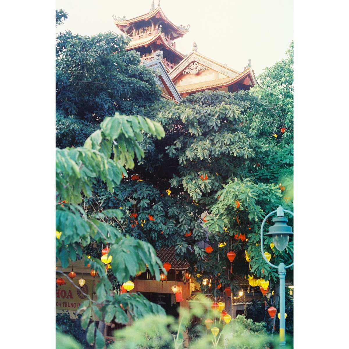 4ever2wander's tweet photo. Saigon 2023
.
.
.
.
.
#filmphotography #filmisntdead #film #canonae1 #canonphotography #35mm #city #saigon #travel #vacation #streetphotography #vietnam #travelphotography https://t.co/e8T4qCWJz9