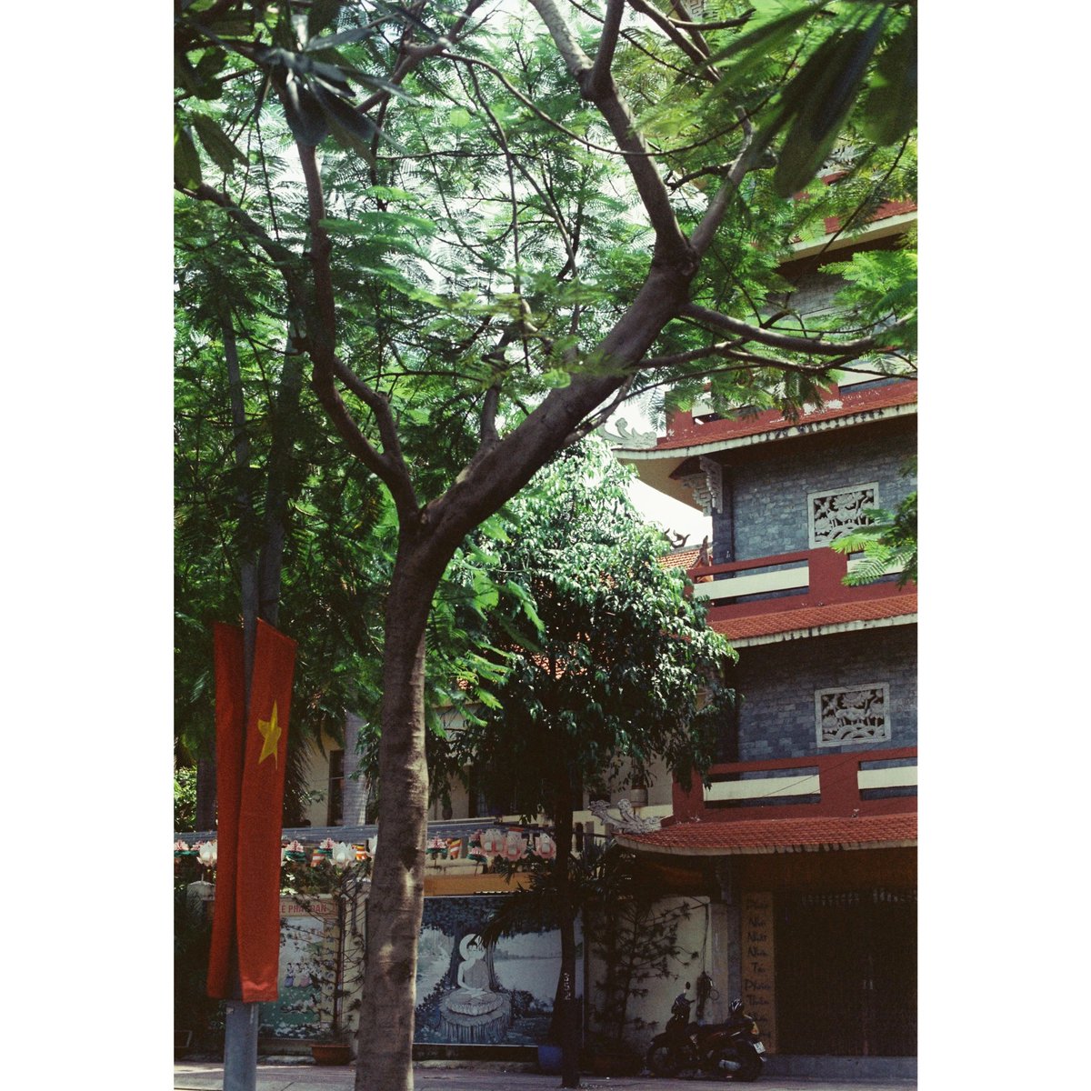 4ever2wander's tweet photo. Saigon 2023
.
.
.
.
.
#filmphotography #filmisntdead #film #canonae1 #canonphotography #35mm #city #saigon #travel #vacation #streetphotography #vietnam #travelphotography https://t.co/DgNZ7l3e9y