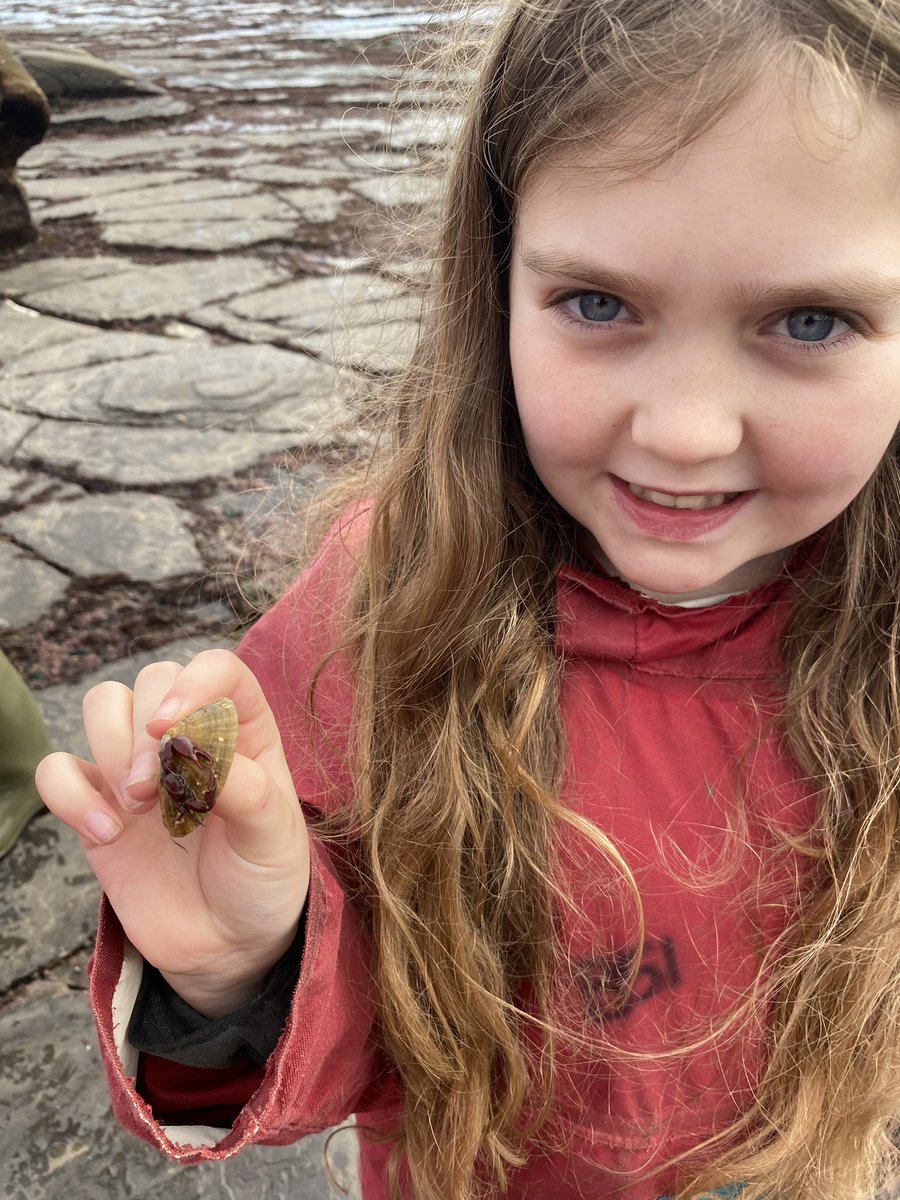 KMSMrsAspery (@kmsclass8) on Twitter photo 