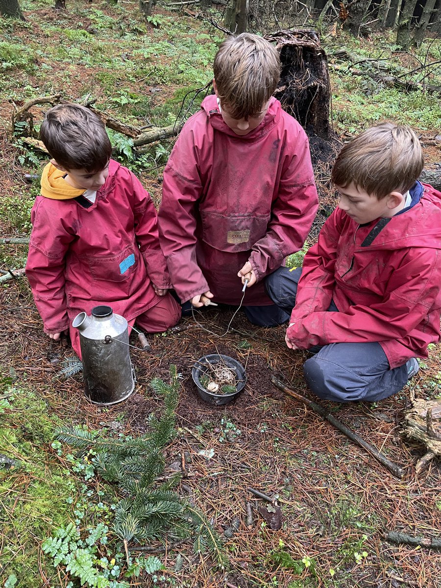 KMSMrsAspery (@kmsclass8) on Twitter photo 