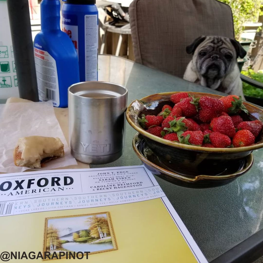 oxfordamerican's tweet image. We try to tell y’all...Oxford American magazine really is “fur” everyone! #ReadOA #OAPets #OAForEveryone #OAFurEveryone #OAintheWild