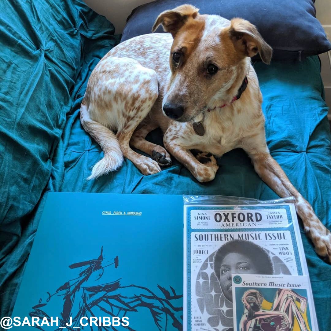 oxfordamerican's tweet image. We try to tell y’all...Oxford American magazine really is “fur” everyone! #ReadOA #OAPets #OAForEveryone #OAFurEveryone #OAintheWild