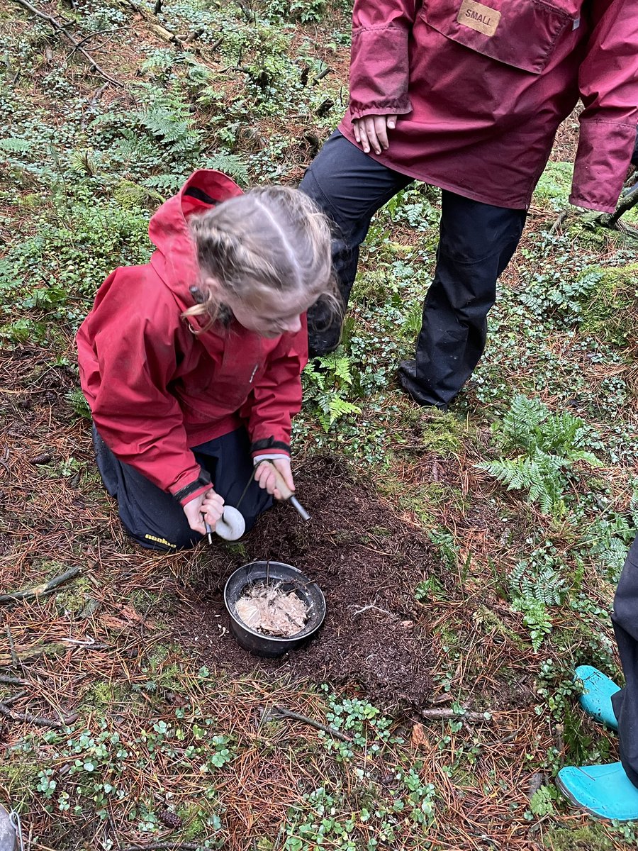 KMSMrsAspery (@kmsclass8) on Twitter photo 