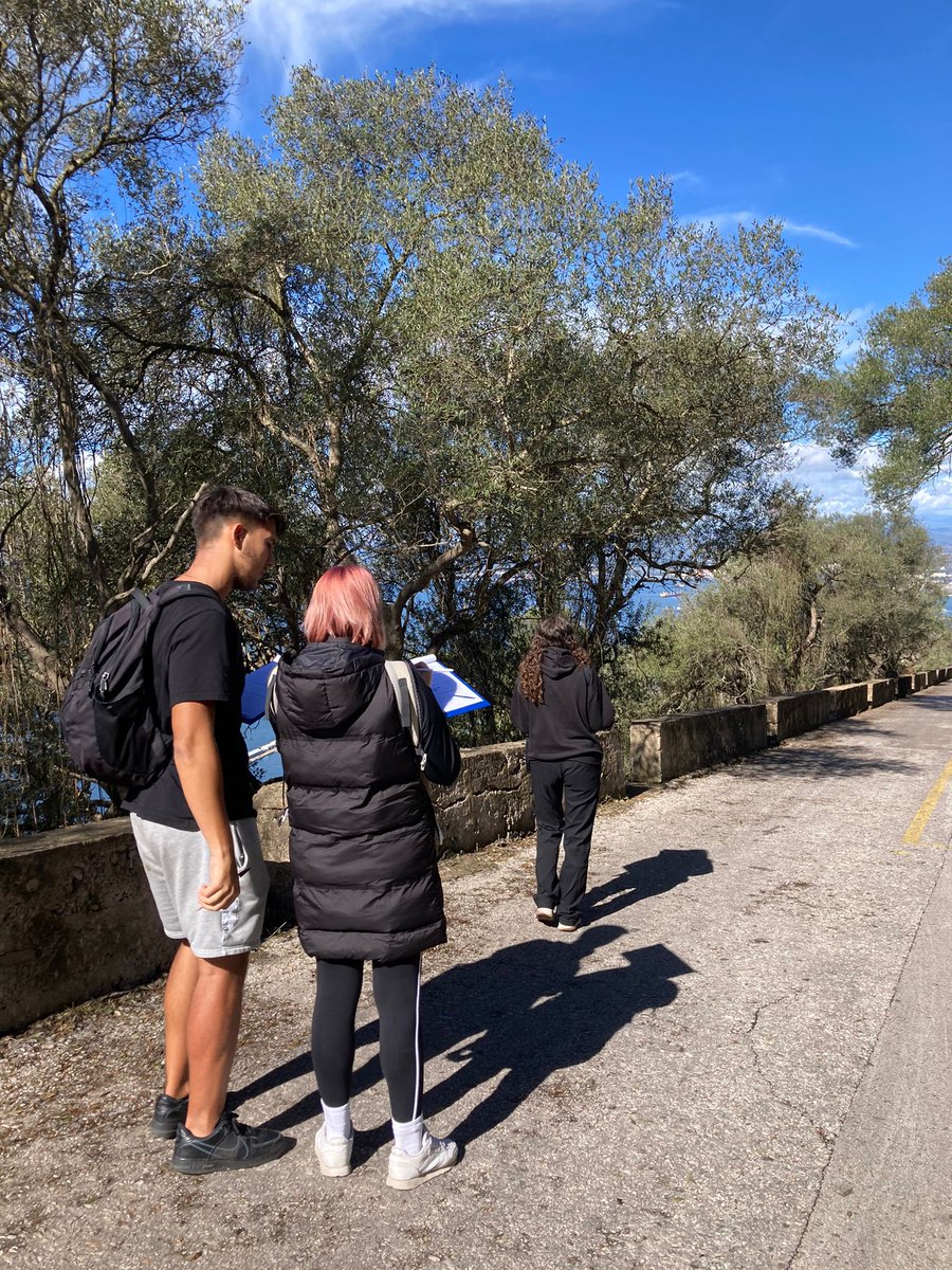 📚🐵 Exploring animal behaviour! Our students learned the fundamentals of primate behaviour and then put their knowledge into action by observing Barbary macaques in the Upper Rock Nature Reserve. 🌲🔭 #UniGib #EnvironmentalScience #ClimateChange #BarbaryMacaques