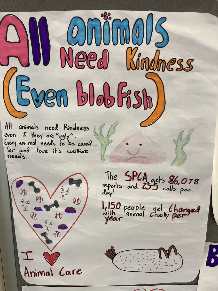 SinclairAcadEng's tweet photo. Wholesome way to end the week with My Academy learners @wlsinclair_ac and @wlwinchburgh_ac Pupils have been learning about a project by the @RSPCA_official and @ScottishSPCA #GenerationKind and have decided to create a display promoting the importance of being kind to animals โค๏ธ https://t.co/ko7aZguErg