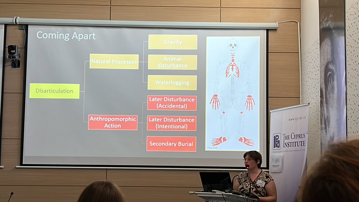 Romanbioarch's tweet photo. Ellen Green tells us that fragmented, dis articulated remains from human individuals are a wonderful source for understanding taphonomy, postmortem modification, and decomposition environment! #ICORB2023 #romanbioarch 🦴🔥🏴󠁧󠁢󠁥󠁮󠁧󠁿 https://t.co/av84jFuIVd