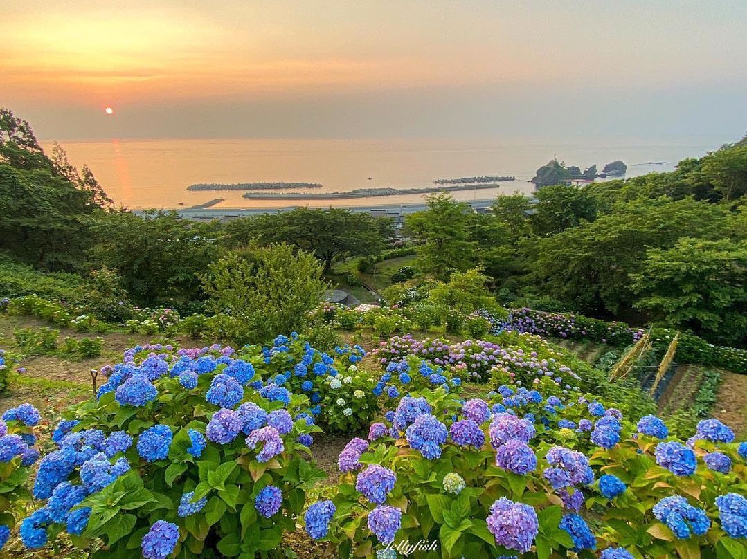 Living in such an environment is like living in paradise😀😀😀