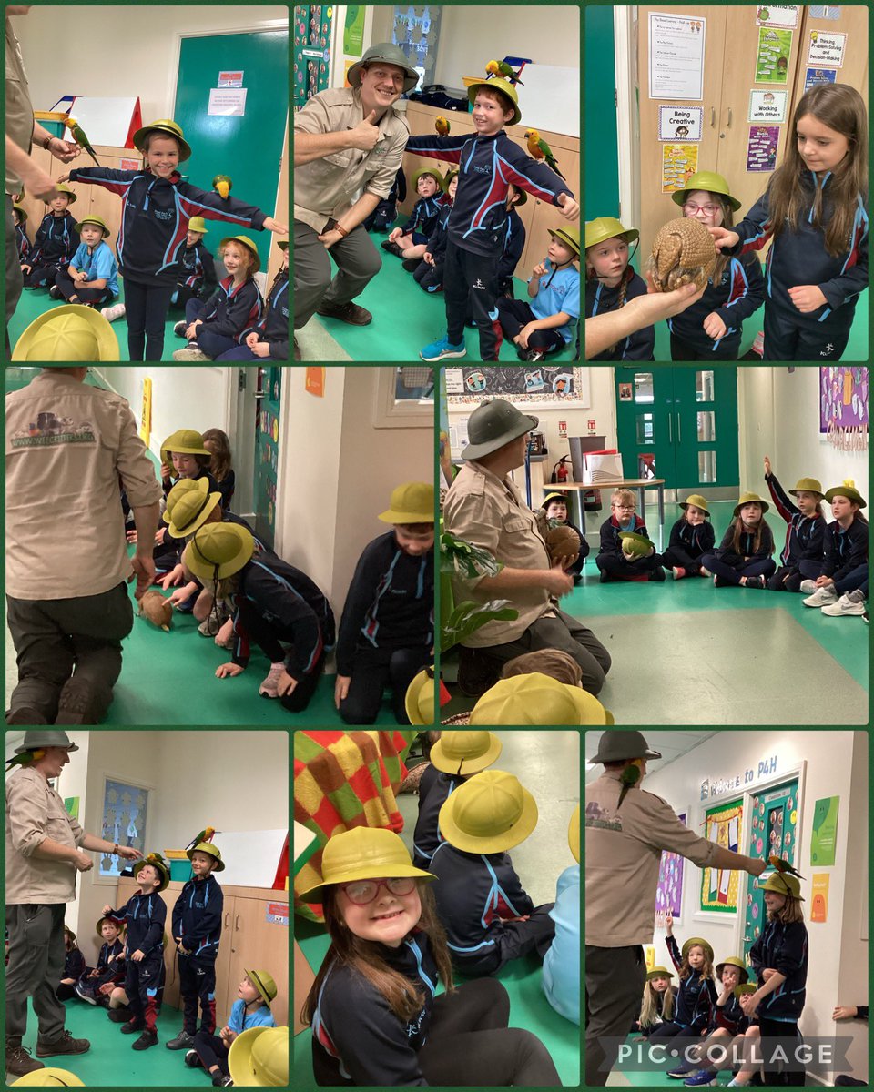 P4H had the best time with <a href="/WeeCrittersNI/">Wee Critters</a> 😎
