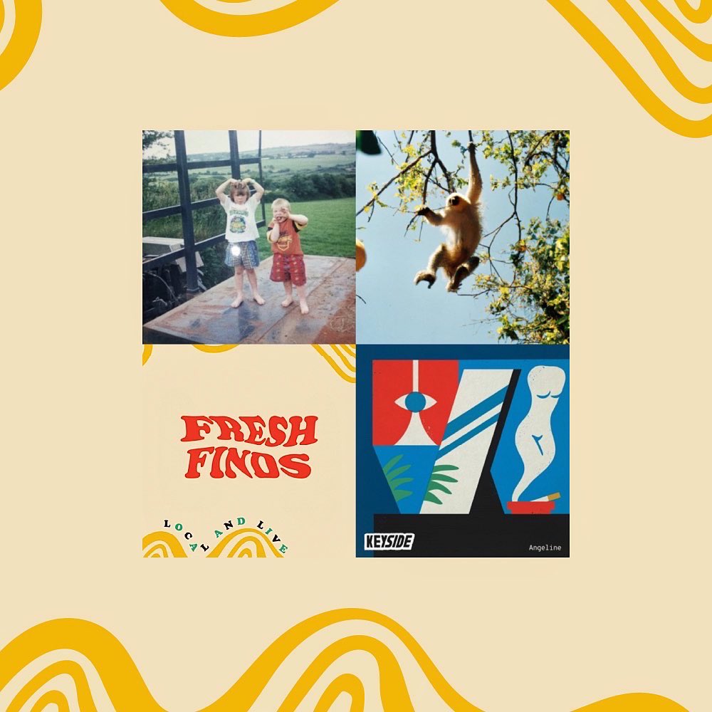 LOCAL & LIVE MEDIA tweet media