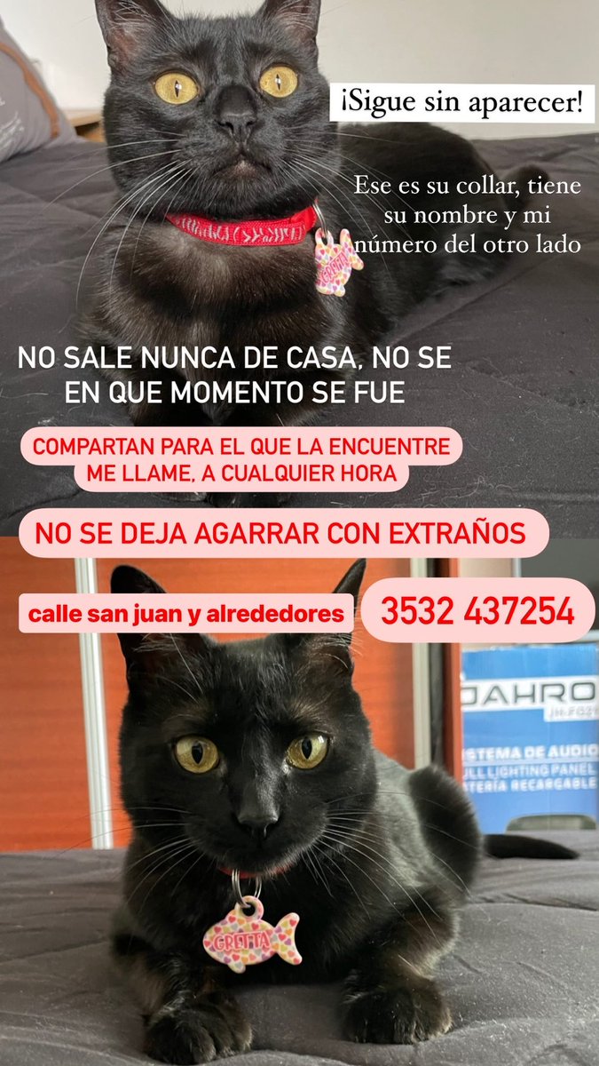anahi19_'s tweet photo. Se busca! Luque, Cordoba! COMPARTIR https://t.co/0yVAlag9y2