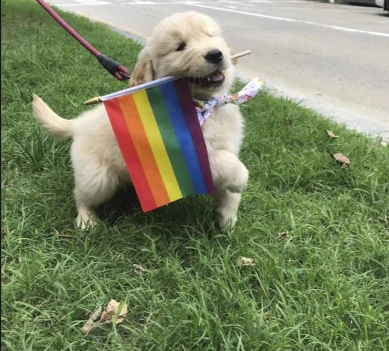 Respectful Memes (@respectfulmemes) on Twitter photo 