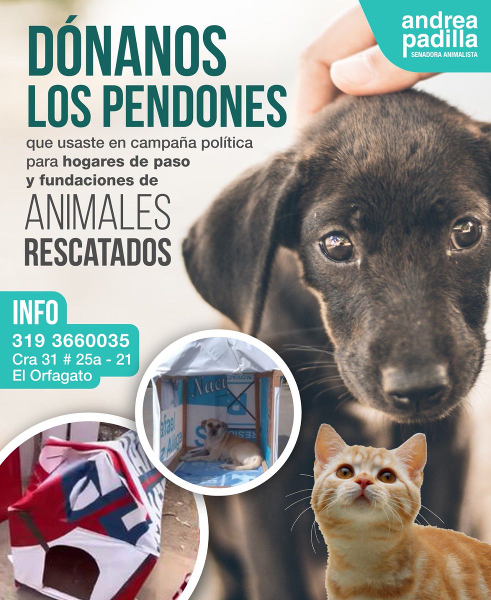 andreanimalidad's tweet photo. ¿Qué harás con los pendones de tu campaña política? ¡Dónalos a fundaciones u hogares de paso de animales rescatados! Sirven muchísimo para aislar el frío y guardar calor. En Bogotá, podemos recibirlos. Gracias❤️ https://t.co/OSnV8aEicu