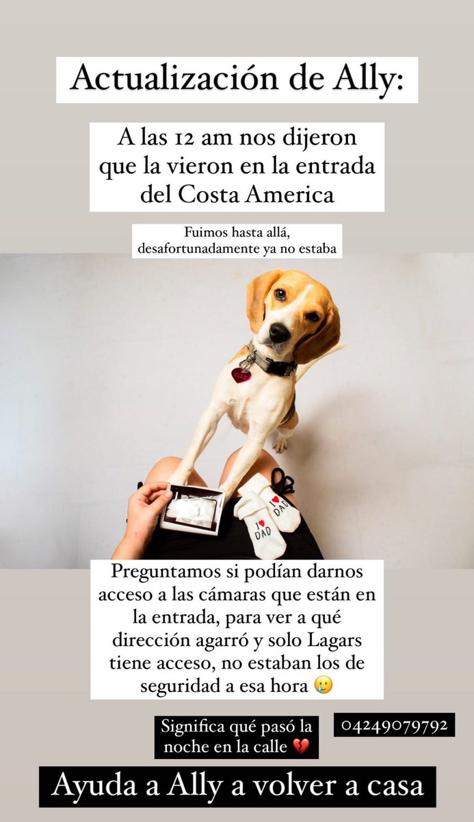 Cathysmarket_'s tweet photo. Buenos días ☀️ Por favor ayúdanos a difundir 🙌🏼 #puertoordaz #ciudadguayana https://t.co/OJ4xb9rsSM