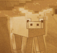 Potato Man of MC 🦀🦀 tweet media