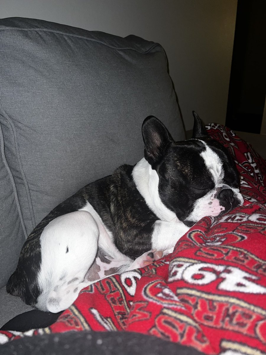 Love his lil smush face